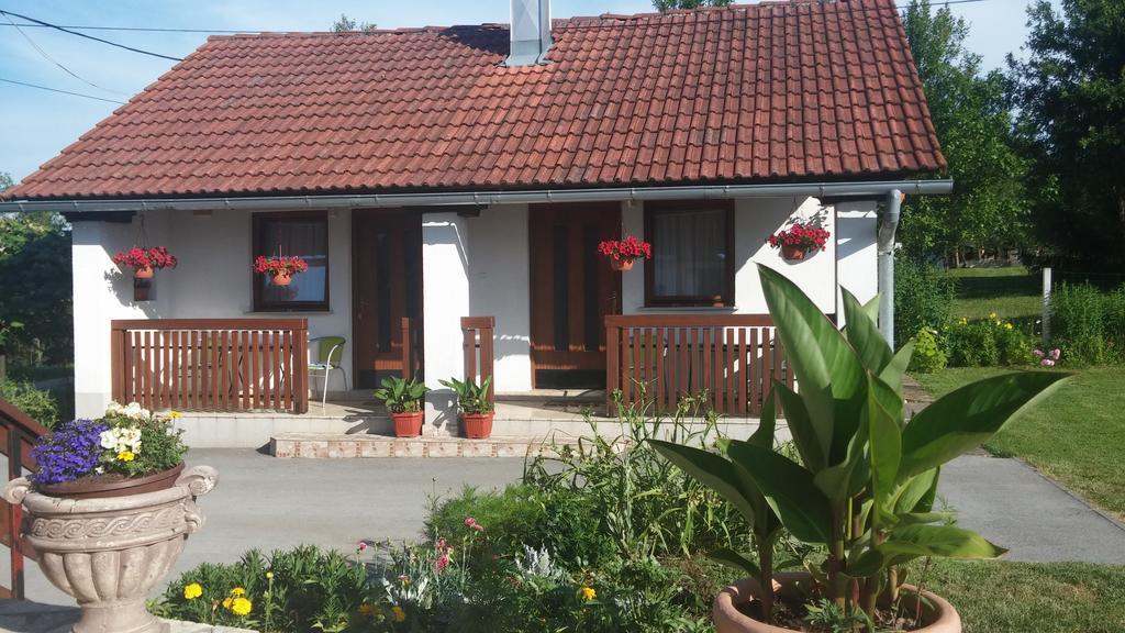 Guest House Family Dukic Rakovica Kamer foto