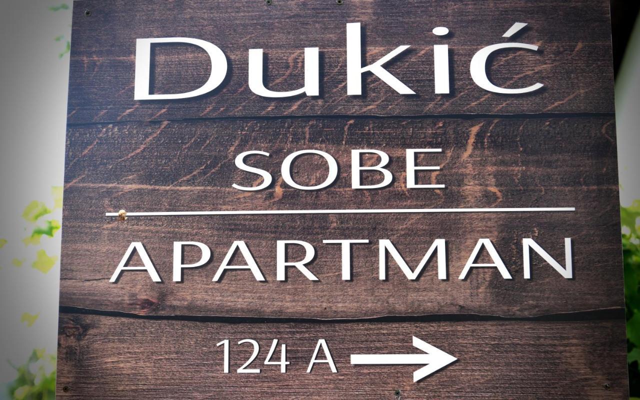 Guest House Family Dukic Rakovica Buitenkant foto