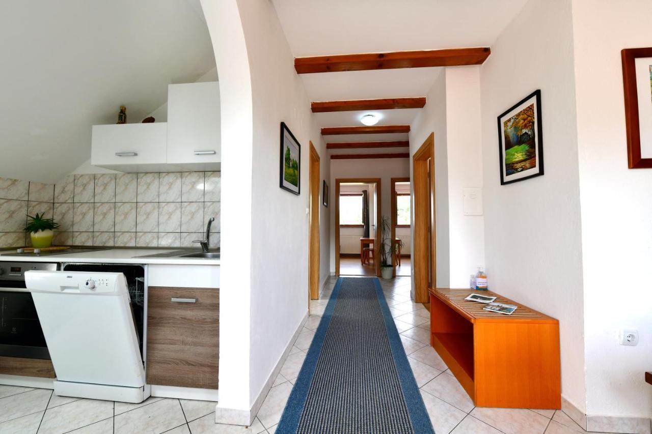 Guest House Family Dukic Rakovica Buitenkant foto