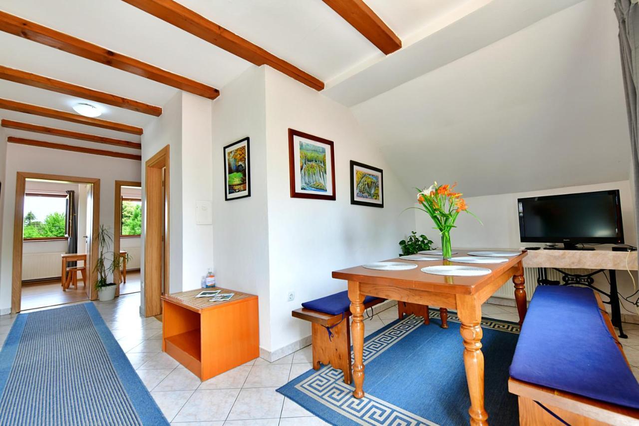 Guest House Family Dukic Rakovica Buitenkant foto