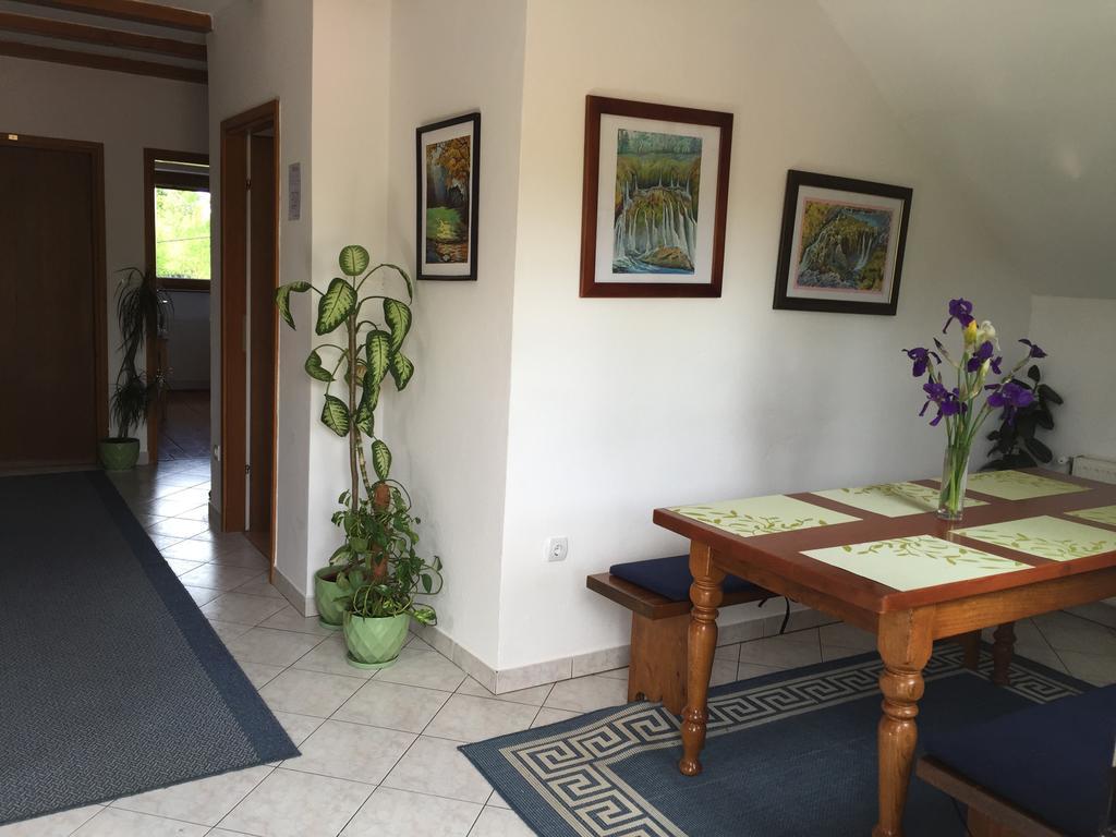 Guest House Family Dukic Rakovica Buitenkant foto