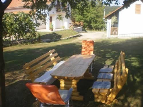 Guest House Family Dukic Rakovica Buitenkant foto