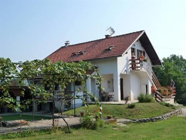 Guest House Family Dukic Rakovica Buitenkant foto